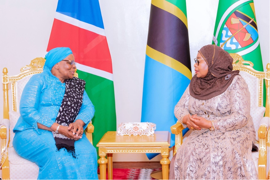 Tanzania and Namibia strengthen economic ties after historic state visit